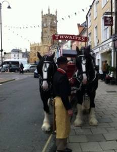 shirehorses1