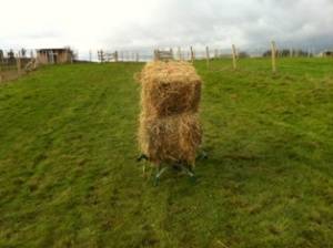 haybales