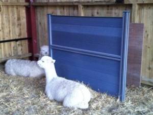 cria weighing form a queue