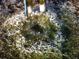 frosty waterpipe jan 2015