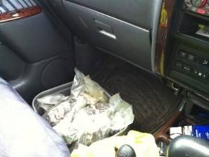 poo in car