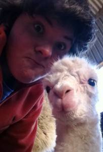 ALPACA CRIA SELFIE