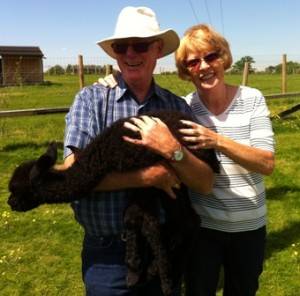 visitors and black cria