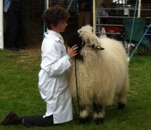 boy with curly sheep WEB