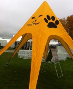 dog trust web