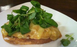 WELSH RAREBIT BELL INN