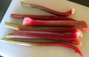 RHUBARB WEB