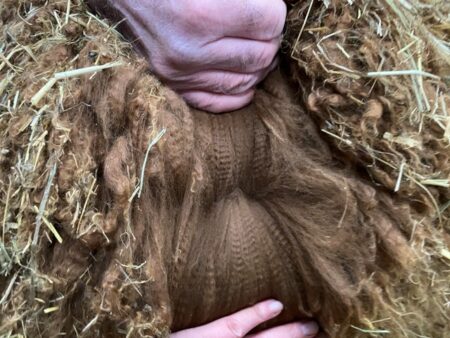 Alpaca fleece and wool for sale